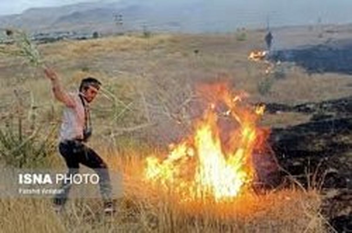 در آتش سوزی جنگلهای مریوان ۴ نفر  جان باختند