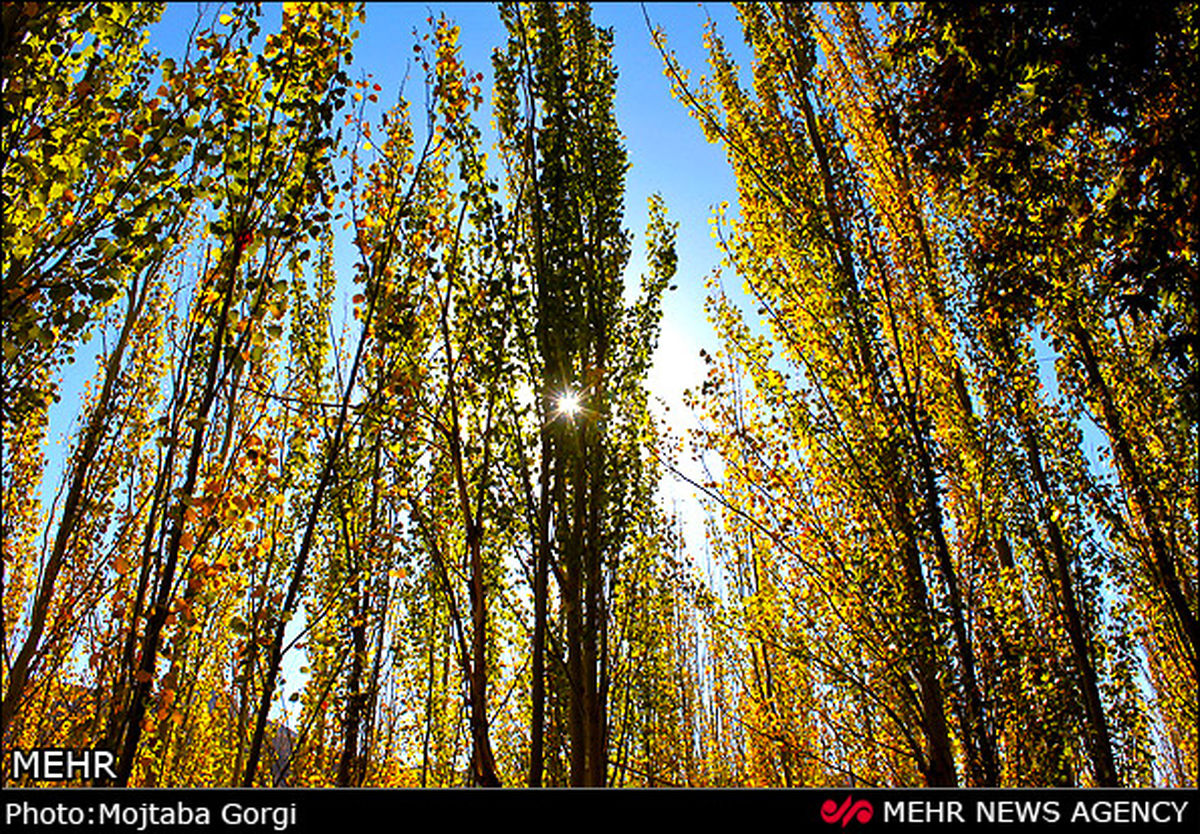 پائیز خیره‌کننده یک روستا
