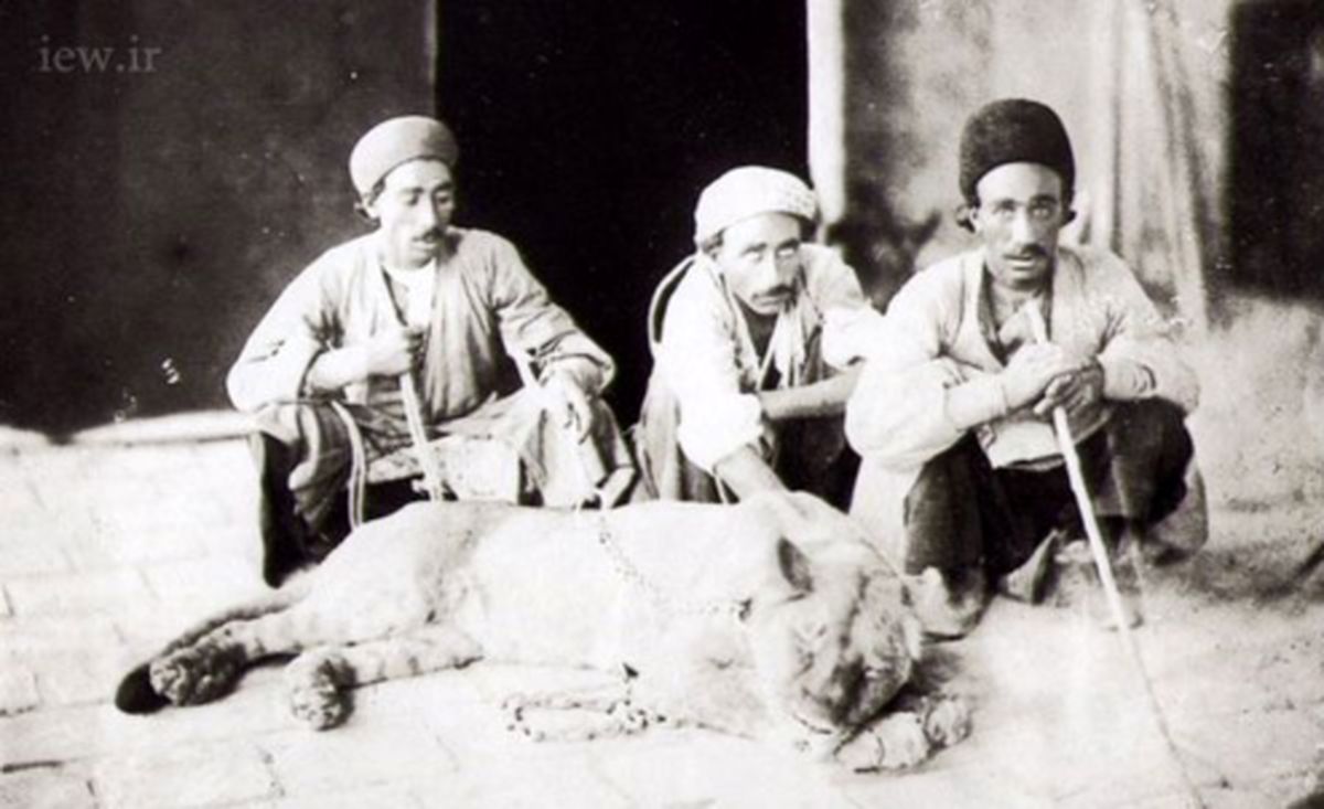 ماجرای بازگشت شیر ایرانی از فرنگ +تصاویر