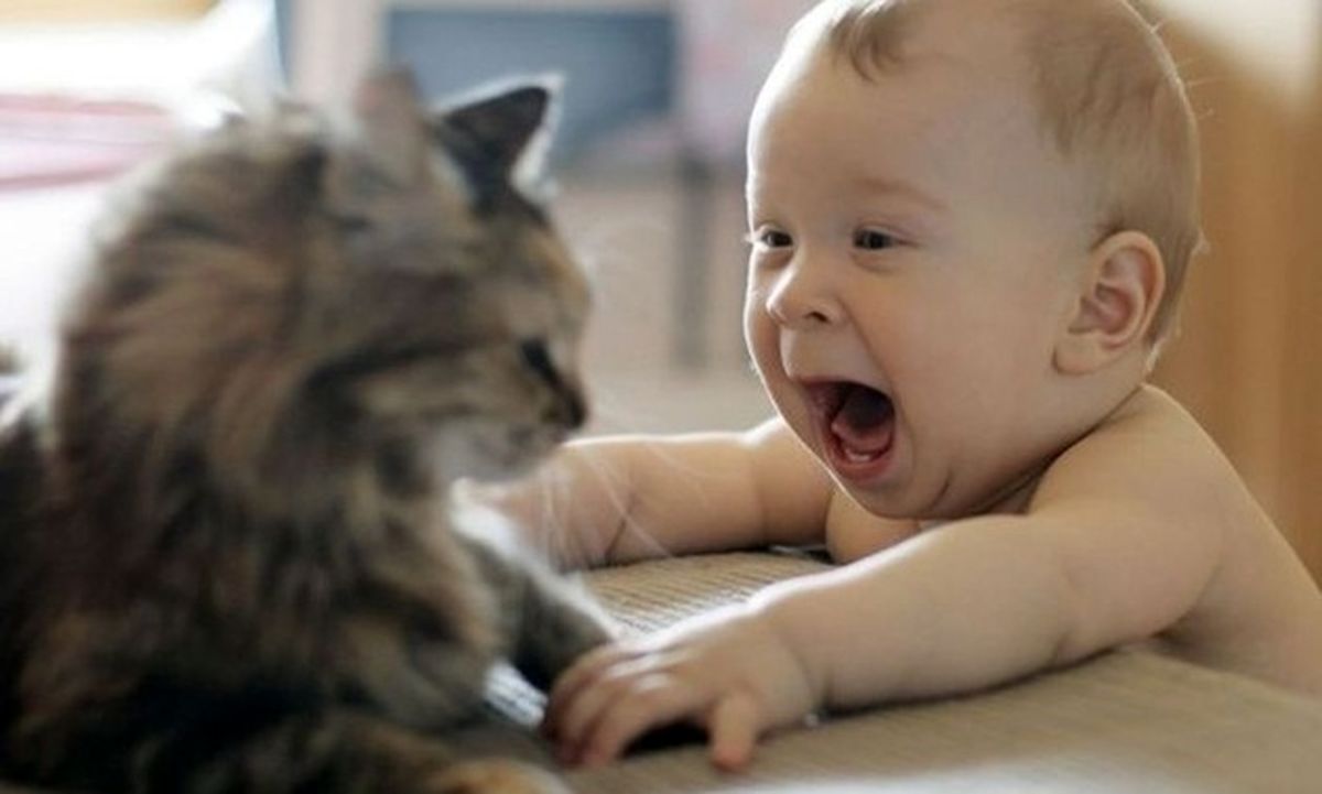 عکس/ هیجان کودکانه!