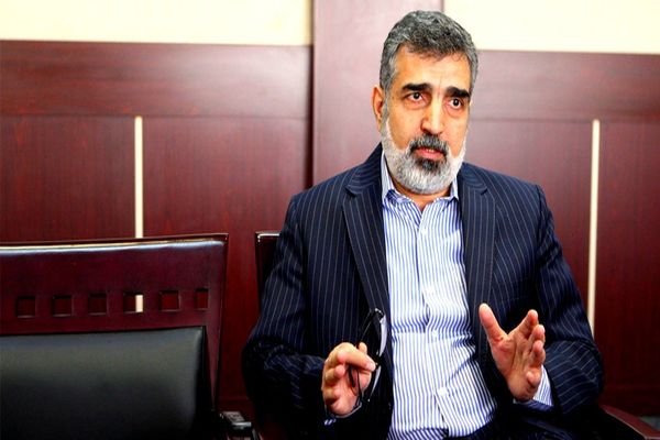  کمالوندی: اولویت ما همکاری هسته‌ای با روسیه است، نه چین