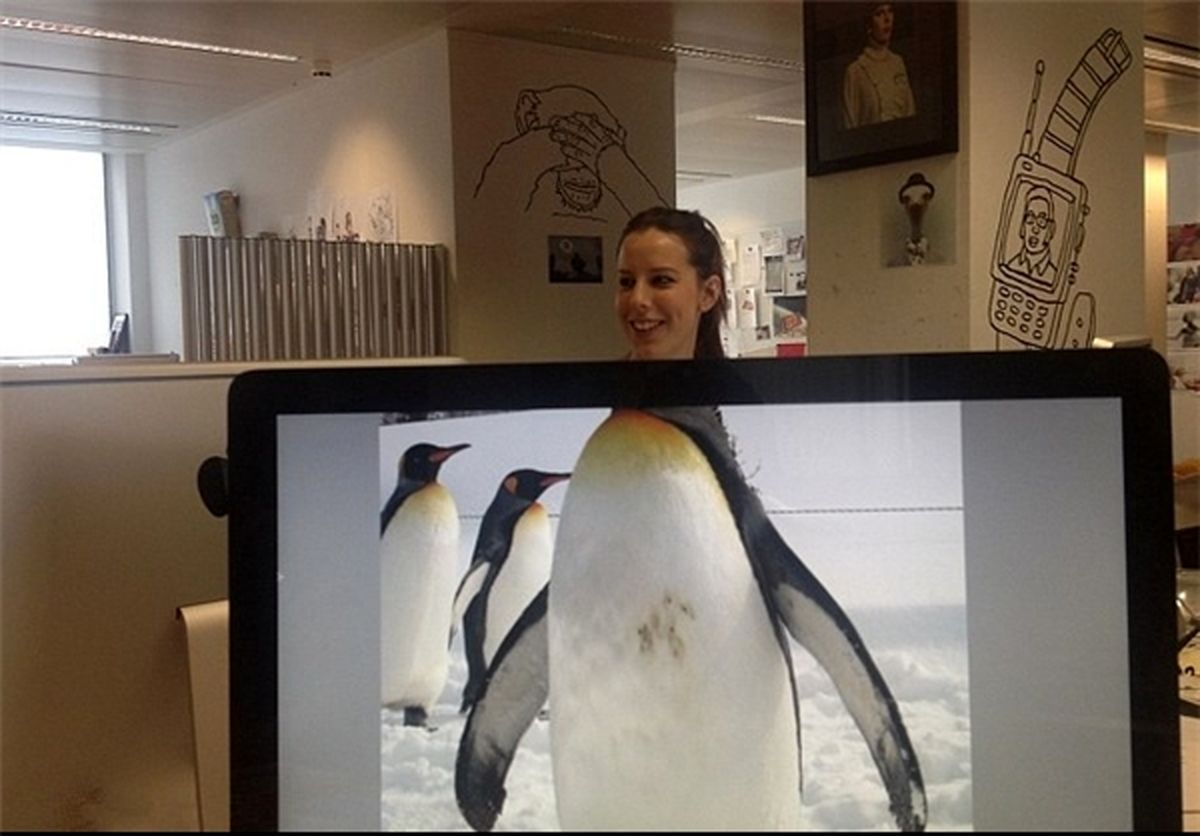 تصاویر / حیوانات با سر انسان !