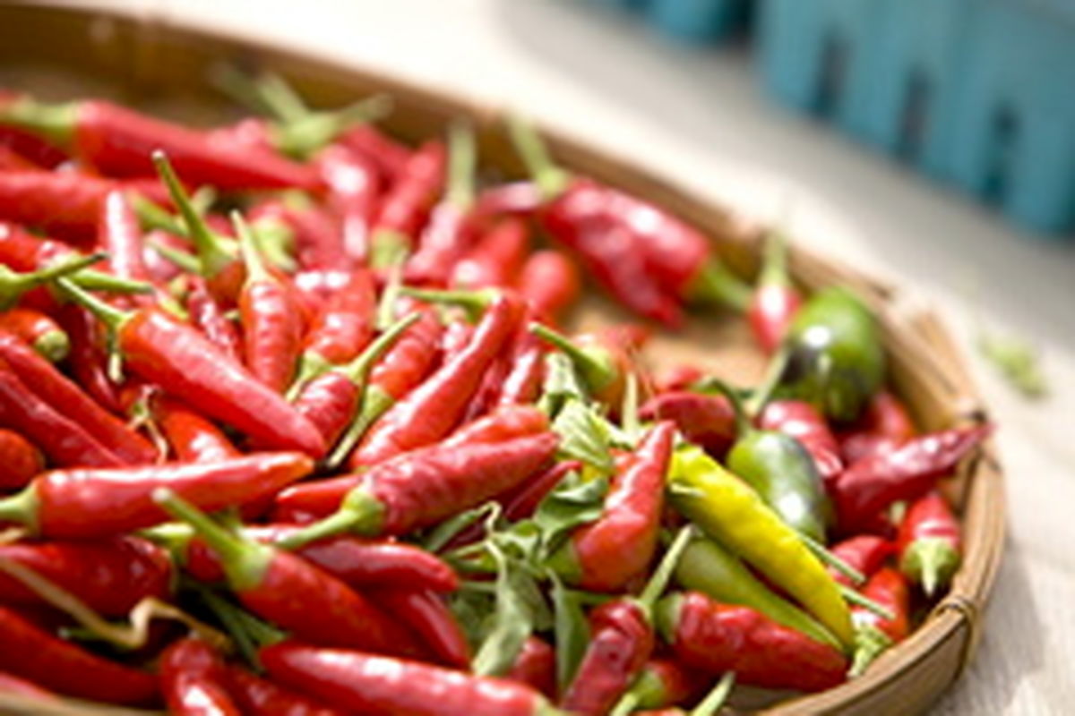 ارتباط غذای تند با افزایش طول عمر