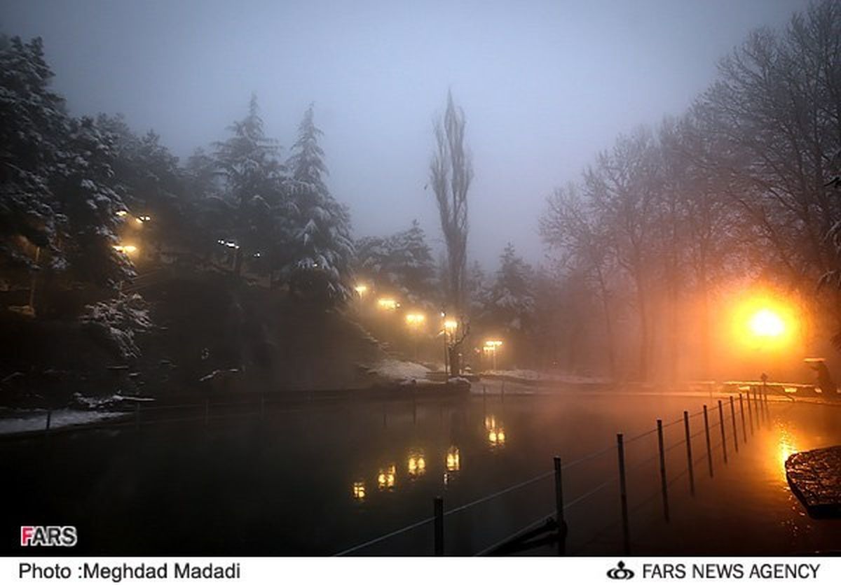 عکس/ شب سرد زمستانی تهران