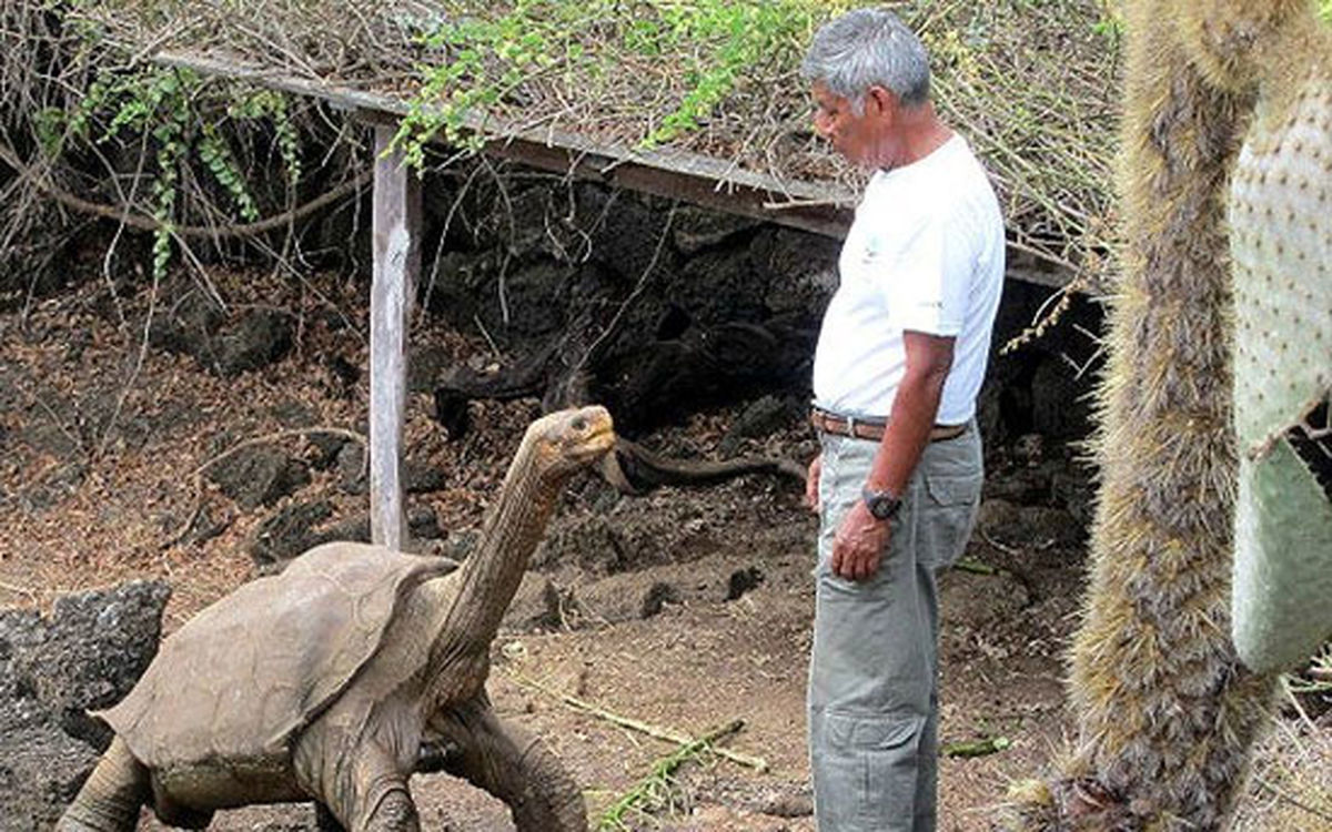 مشهورترین لاک پشت دنیا درگذشت/عکس