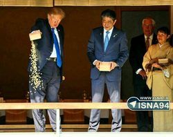 غذا دادن ترامپ به ماهی‌ها سوژه شد! +عکس