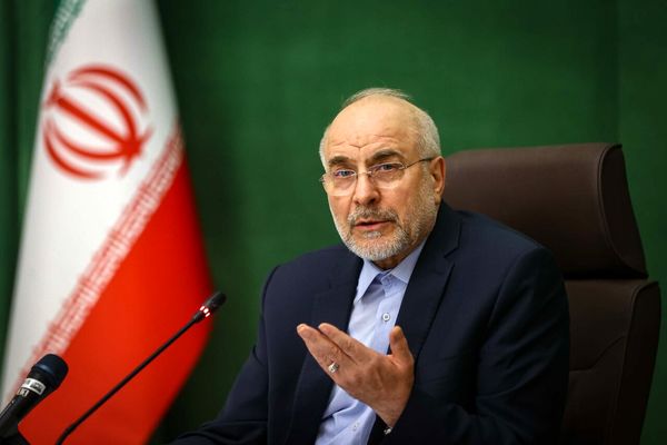 عملکرد اقتصادی دولت در حفظ قدرت خرید مردم، نحوه اجرای کالابرگ و مدیریت نوسانات ارزی زیر ذره‌بین مجلس