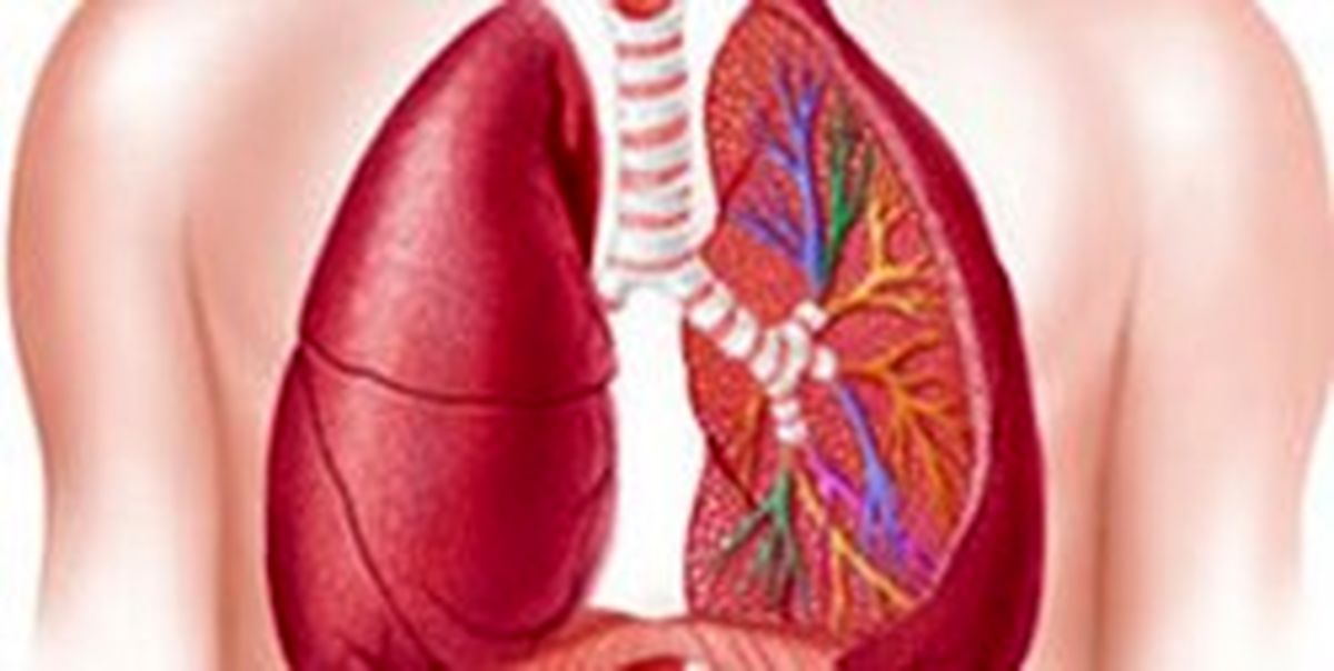 بیماریهای ریوی منجر به بروز آلزایمر میشوند