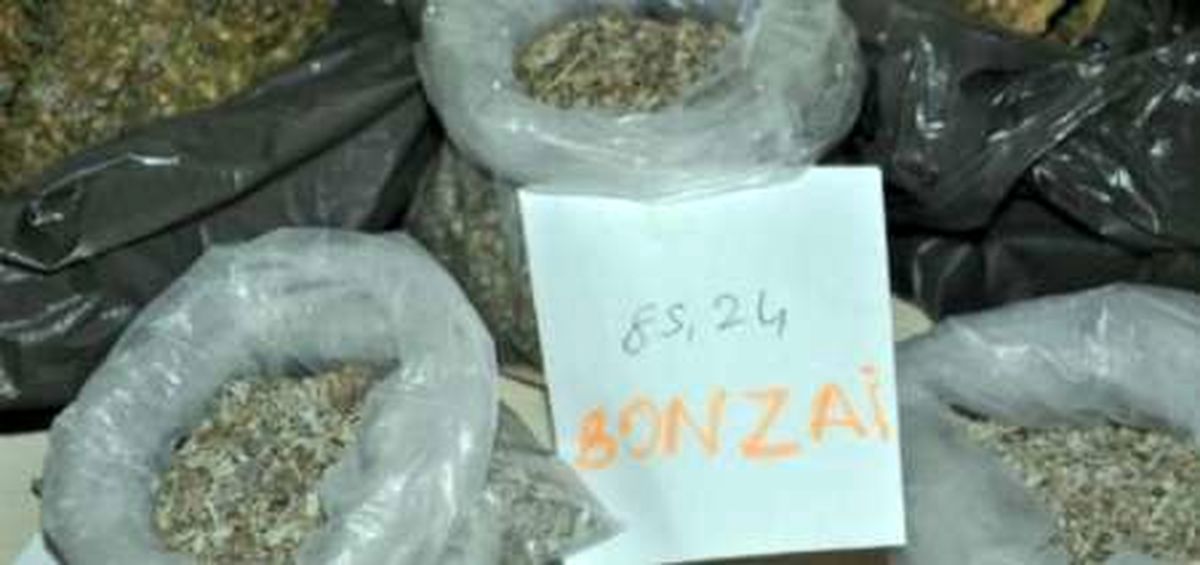 ورود مخدر کشنده «بونسای» به کشور صحت دارد؟ +عکس