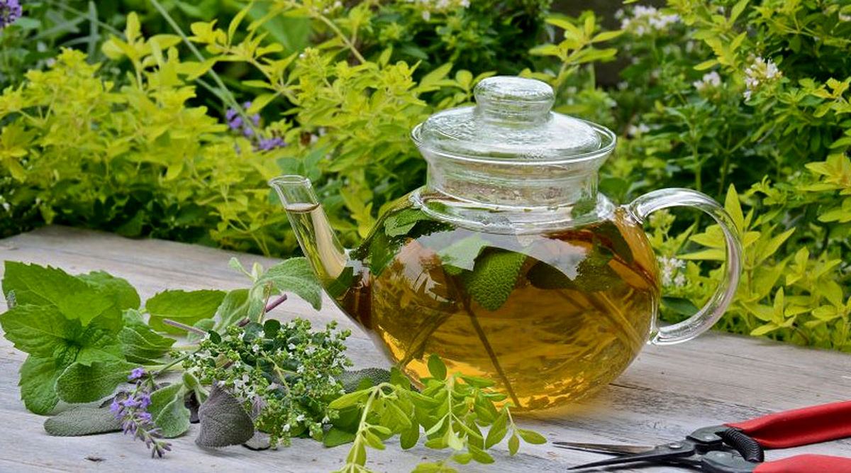 دمنوشی خوش عطر که مجاری تنفسی شما را ضدعفونی می‌کند
