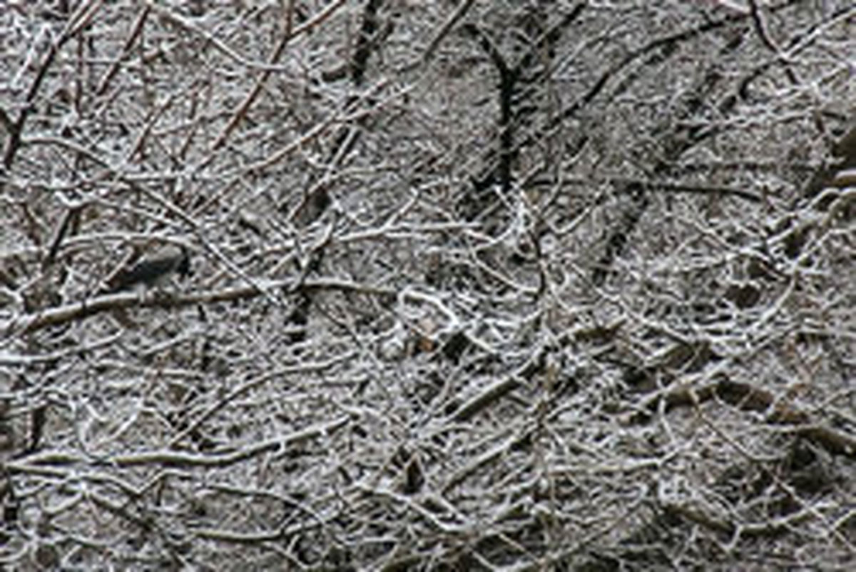 ورود سامانه بارشی جدید از فردا