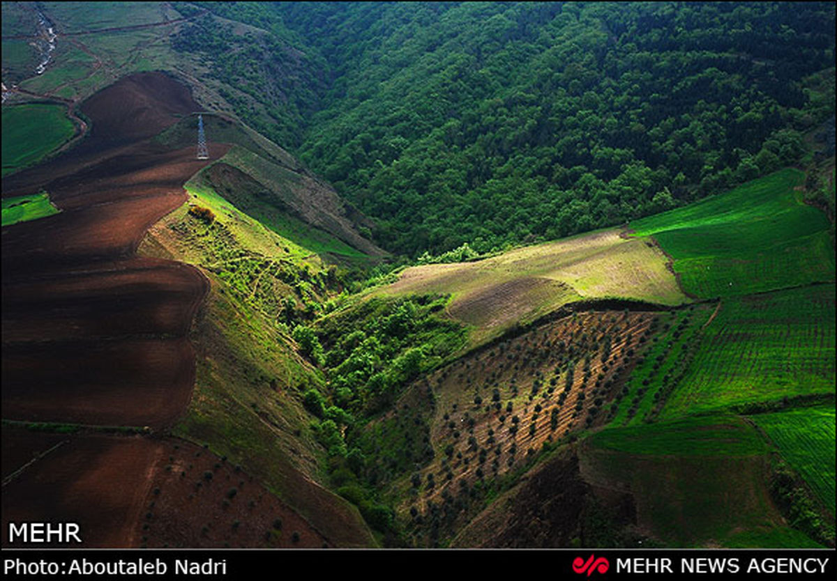 تصاویر / تخریب جنگلهای هیرکانی