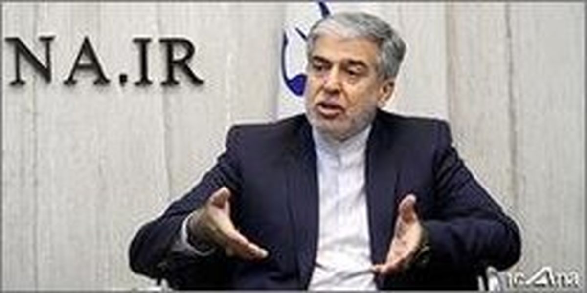 انتقاد یک نماینده از نحوه پرداخت وامهای خرد بانکی